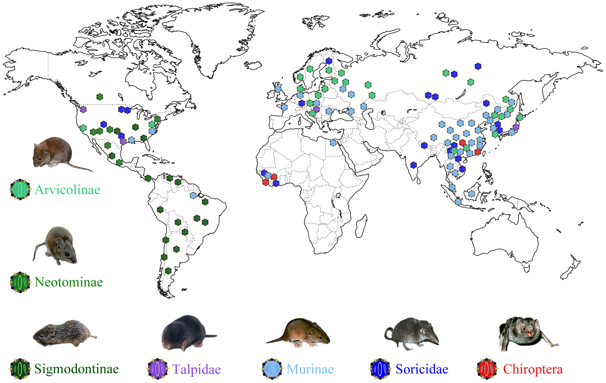 Concepts in Emerging Infections