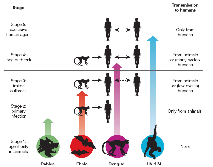 Concepts in Emerging Infections